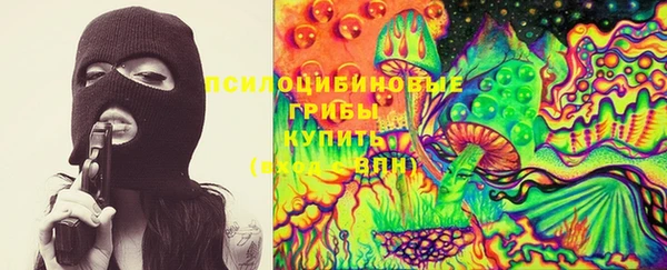 ALPHA PVP Богородицк