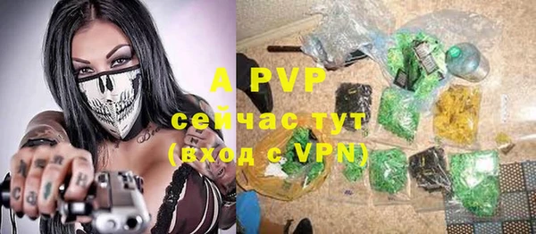 ALPHA PVP Богородицк