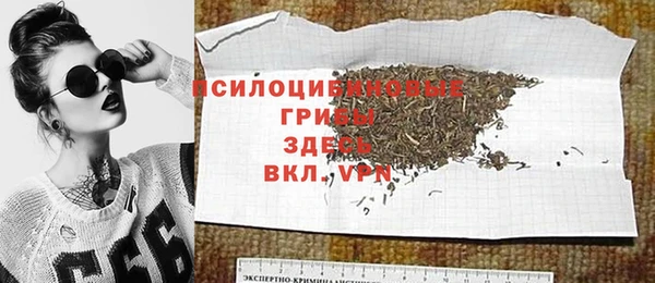 ALPHA PVP Богородицк