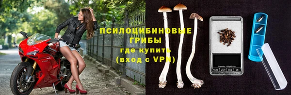 ALPHA PVP Богородицк
