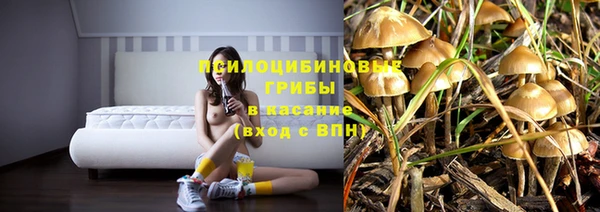 МДМА Богданович