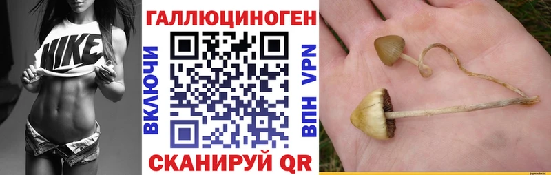 МЕГА зеркало Невель Псилоцибиновые грибы Psilocybine cubensis цены наркотик